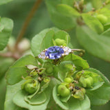 Oval Tanzanite Engagement Ring – Natural Tanzanite and Cluster of Diamond Ring – Solid Gold December and April Birthstone Ring